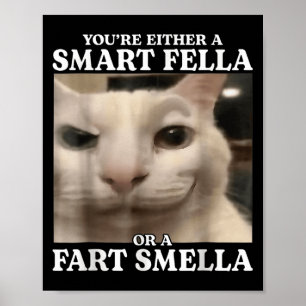 Poster Vous êtes un Fella intelligent ou un Fart Smella C