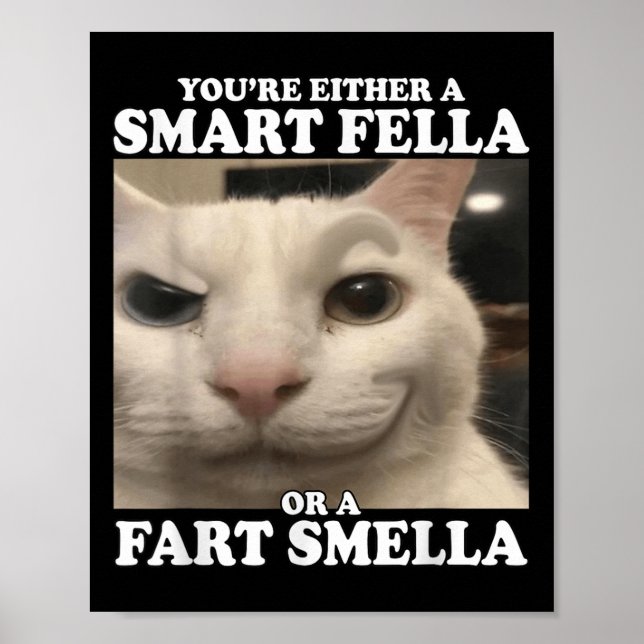 Poster Vous êtes un Fella intelligent ou un Fart Smella d (Devant)