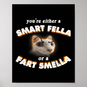 Poster Vous Êtes Une Fella Intelligente Ou Un Fart Smella