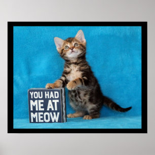 Poster Vous m'aviez chez Meow Bengal Kitten