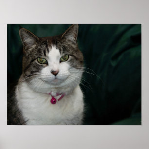 Poster Vous me regardez en train de vous regarder