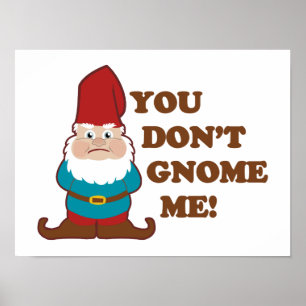 Poster Vous ne faites pas gnome je !