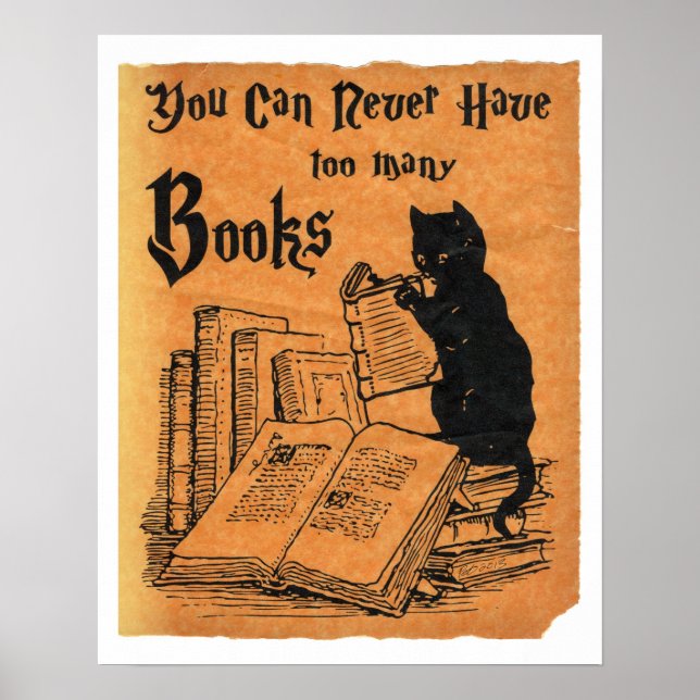 Poster Vous Ne Pouvez Jamais Avoir Trop De Livres Cat Whi (Devant)