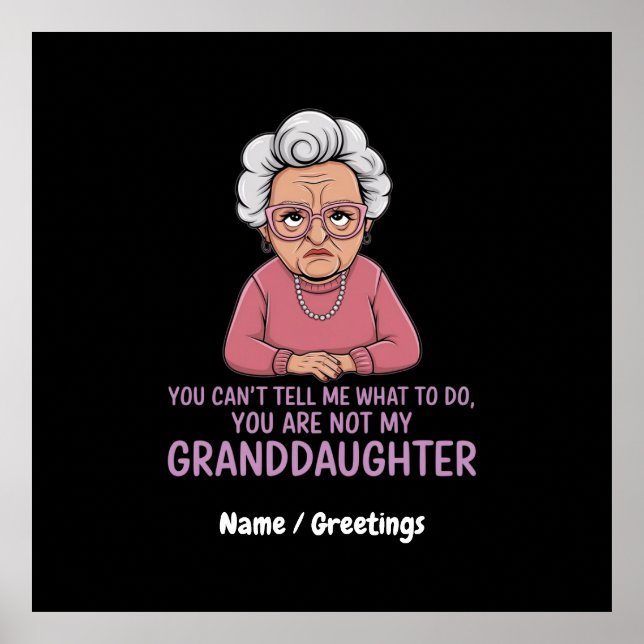 Poster Vous ne pouvez pas me dire, vous n'êtes pas ma pet (Devant)