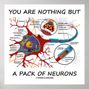 Poster Vous N'Êtes Rien D'Autre Qu'Un Pack De Neurones (S