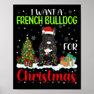 Poster Vous Voulez Un Chien À Balle Français Pour Noël Co