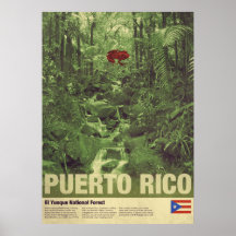 Voyage à Porto Rico : El Yunque