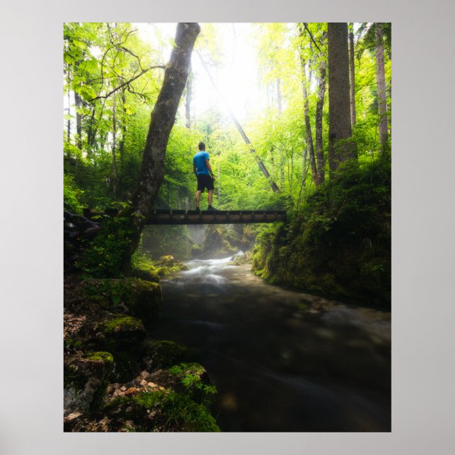 Poster Voyage à travers la forêt magique (Devant)