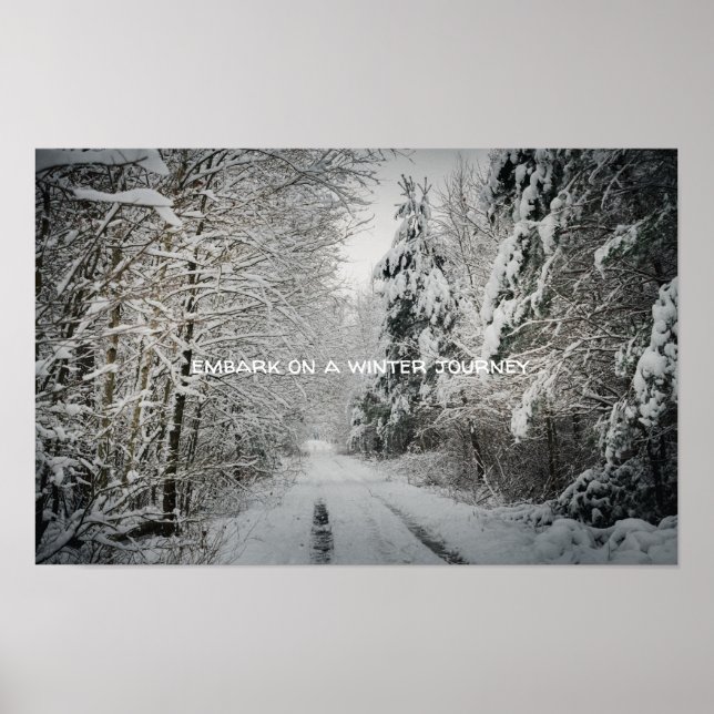 Poster Voyage d'hiver à travers la forêt (Devant)