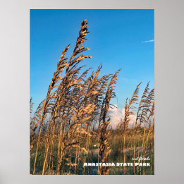 Poster Voyage | Floride - Anastasia State Park Sea Oats