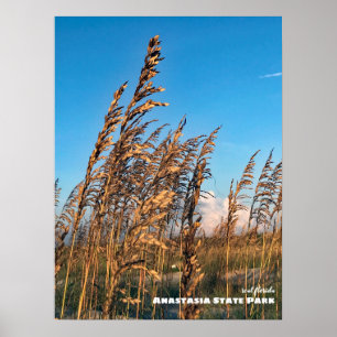 Poster Voyage   Floride - Anastasia State Park Sea Oats