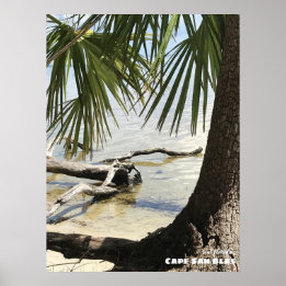 Poster Voyage | Floride - Cape San Blas Driftwood