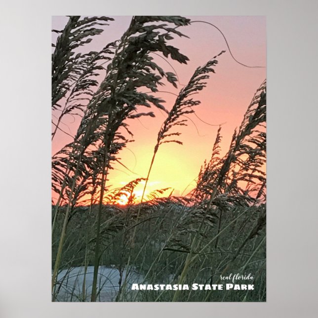 Poster Voyage | Floride - Coucher de soleil sur l'avoine  (Devant)