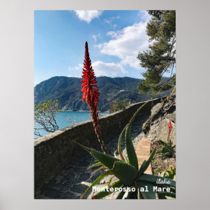 Poster Voyage Italie