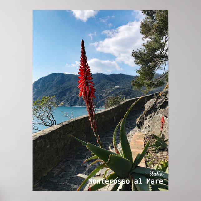 Poster Voyage | Italie (Devant)