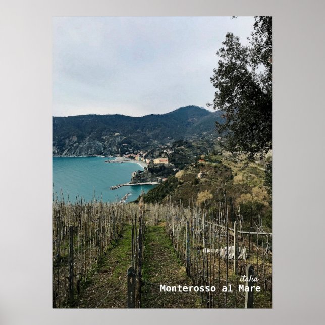 Poster Voyage | Italie - Monterosso Winter Vineyard (Devant)