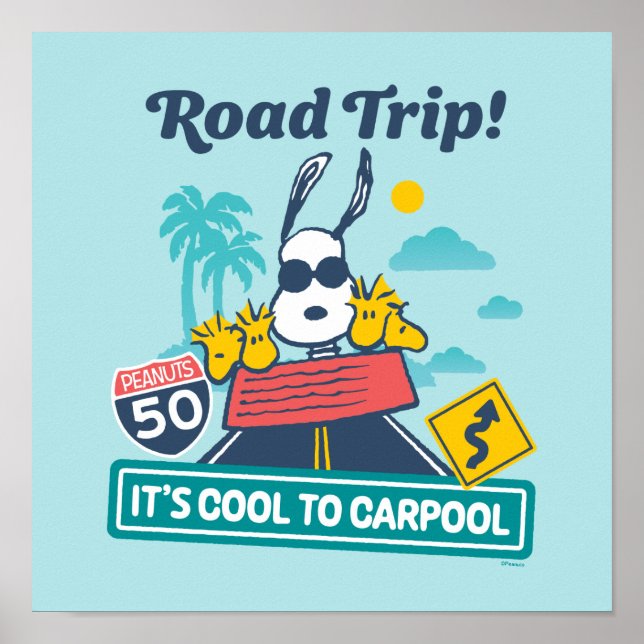 Poster Voyage sur route | cacahuètes C'est Cool au covoit (Devant)