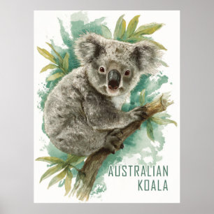 Poster Voyage vintage Australie Koala
