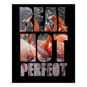 Poster Vraie Citation Pas Parfait Flamant rose Oiseaux tr