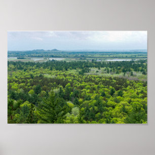 Poster Vue aérienne de la forêt de Black River State