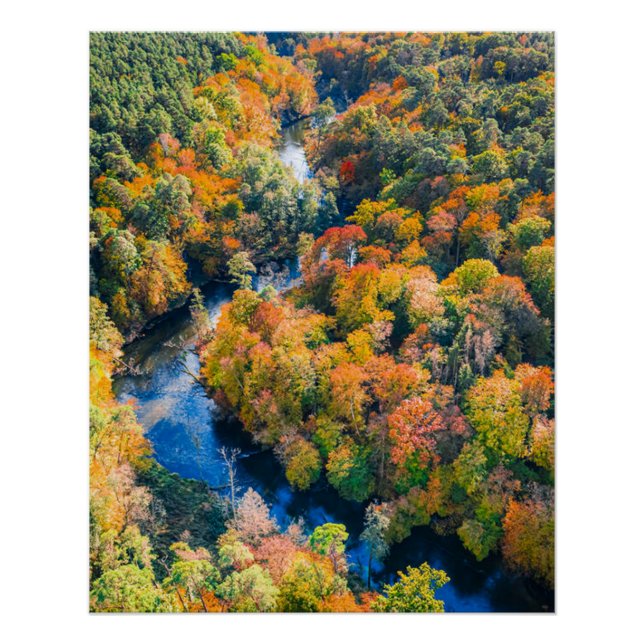 Poster Vue aérienne de la rivière Winny Forêt ensoleillée (Devant)