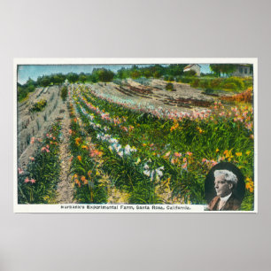 Poster Vue aérienne de station expérimentale de Burbanks