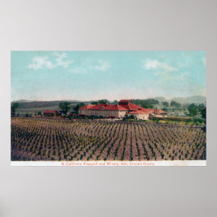 Poster Vue aérienne d'un vignoble et d'un vignoble de Cal