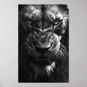 Poster Vue avant du lion en rugissement noir et W