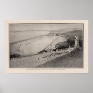 Poster Vue d'au sol de foret proposé