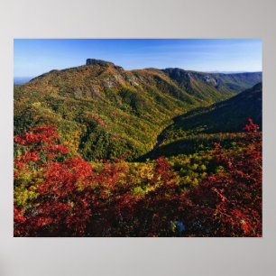 Poster Vue d'automne de la gorge de Linville souvent appe