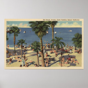 Poster Vue d'Avalon de plage avec des Sunbathers