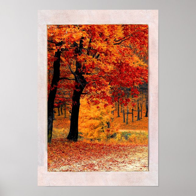 Poster Vue de la fenêtre Bright Forest Fall (Devant)