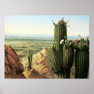Poster Vue de la montagne Maricopa près de la rivière Gil