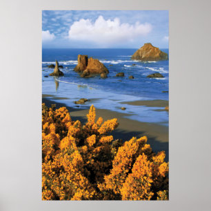 Poster Vue de la plage de l'Oregon à Bandon