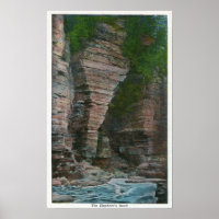 Vue de la tête de l'éléphant