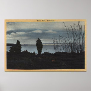 Poster Vue de lac mono
