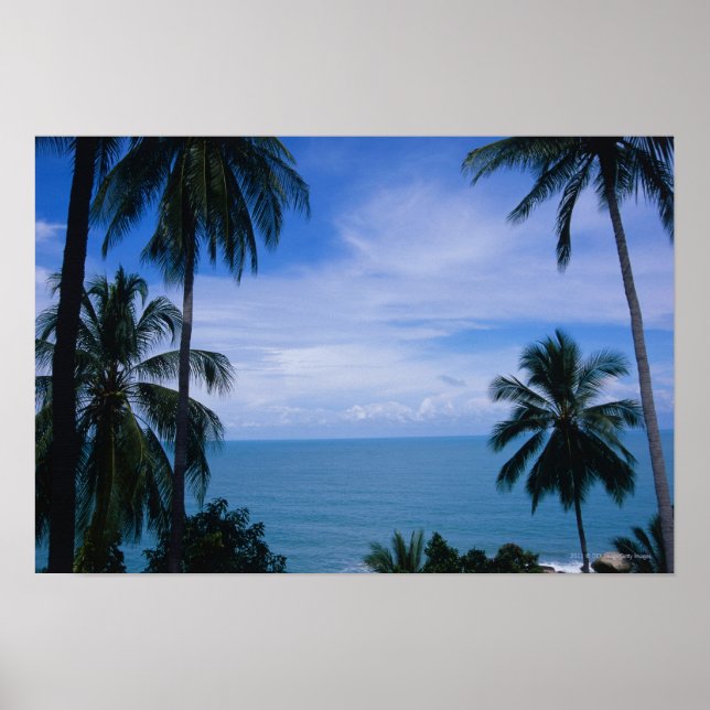 Poster Vue de l'horizon océanique depuis la terre (Devant)