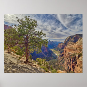 Poster Vue de Zion Canyon depuis Angels Landing