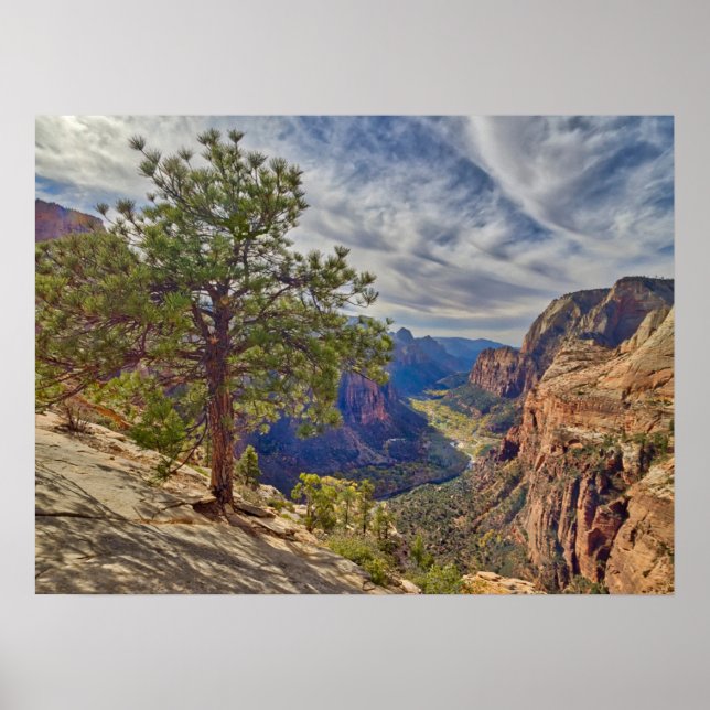 Poster Vue de Zion Canyon depuis Angels Landing (Devant)