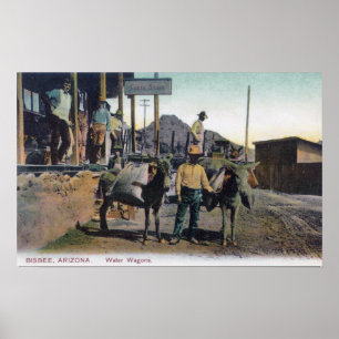 Poster Vue des ânes portant WaterBisbee, AZ