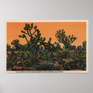Poster Vue des arbres du Yucca dans le désert de Mohave