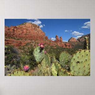 Poster Vue des buttes jumelles Sedona, Arizona