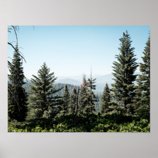Poster Vue du canyon de Kings dans la forêt de la Sierra 