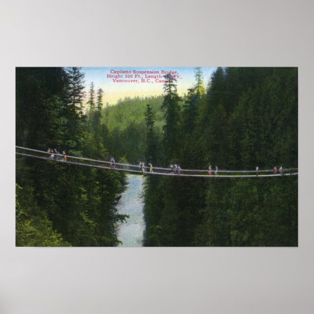 Poster Vue du pont de suspension Capilano (Devant)