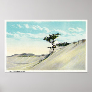 Poster Vue du vapeur de Dorothy Bradford