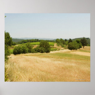Poster Vue en grand angle d'un champ, Province de Sienne,