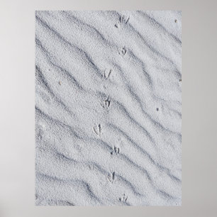 Poster Vue en haut des dunes de sable
