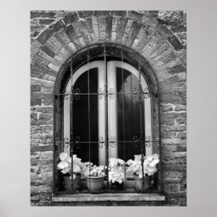 Poster Vue en noir et blanc d'une fenêtre et de pots de f