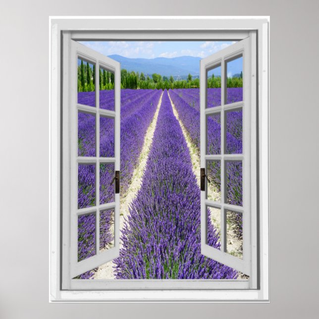 Poster Vue Fausse fenêtre du champ Lavender (Devant)