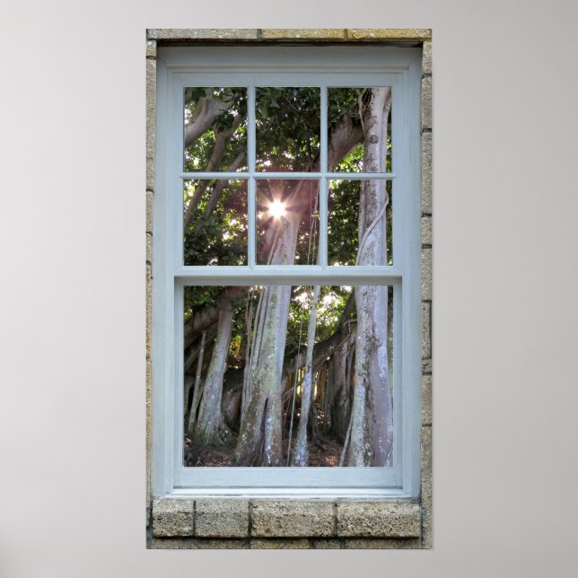 Poster Vue fenêtre Banyan tree Starburst Print (Devant)